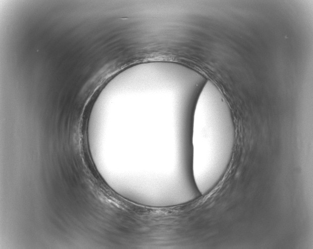 X0000066540290200603201433