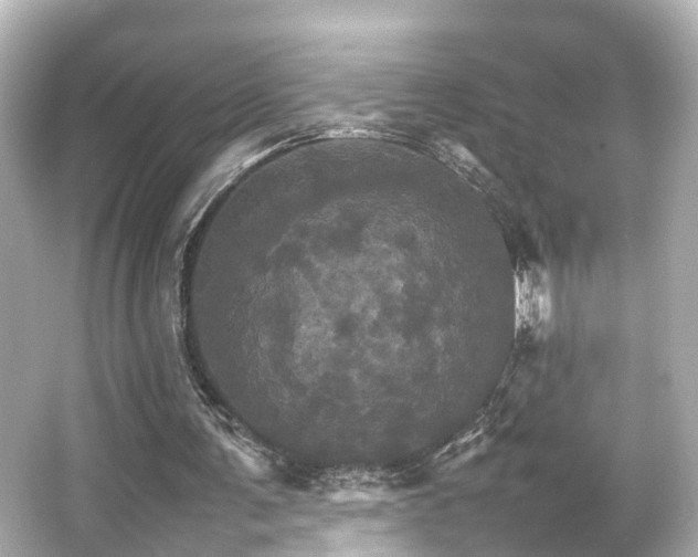 X0000066540291200603201433