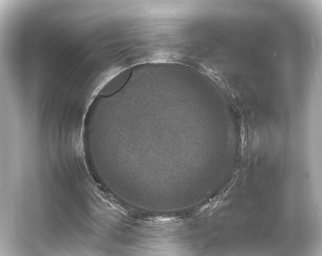 X0000066540292200603201433