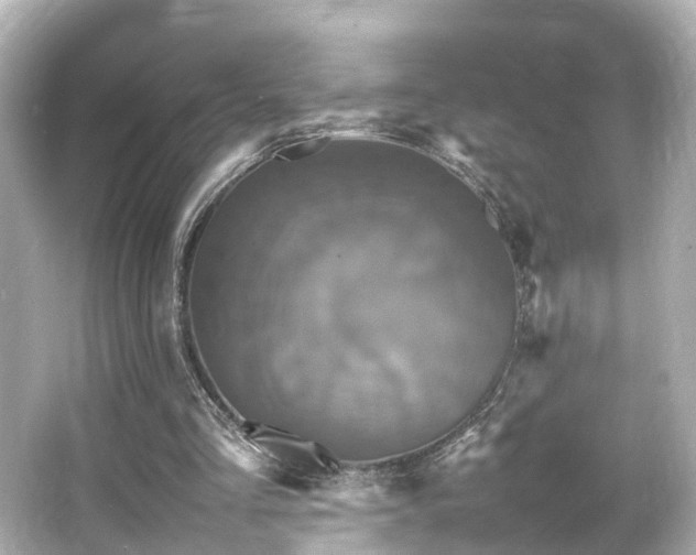 X0000066540293200603201433