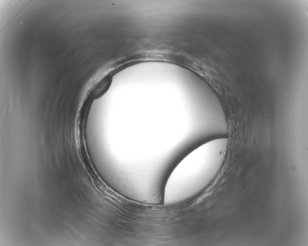 X0000066540294200603201433