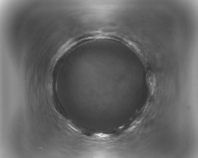 X0000066540295200603201433