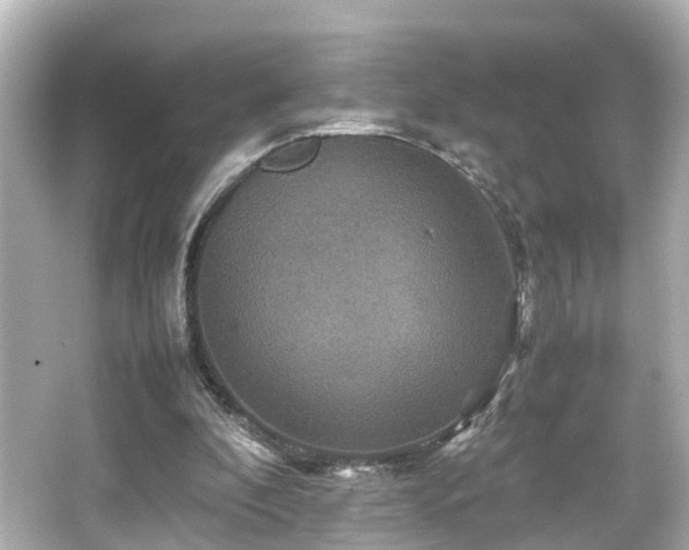 X0000066540296200603201433