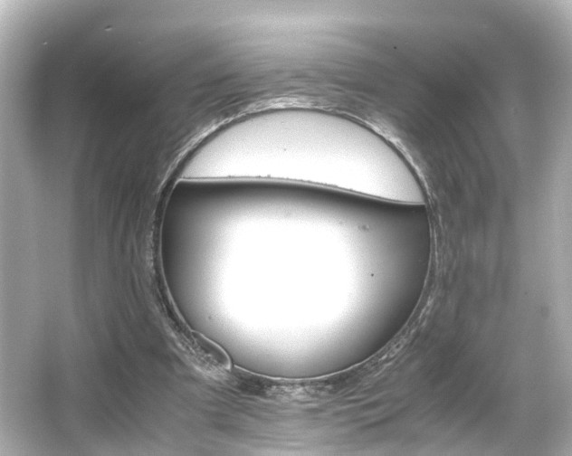 X0000066540297200603201433