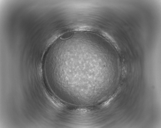 X0000066540298200603201433