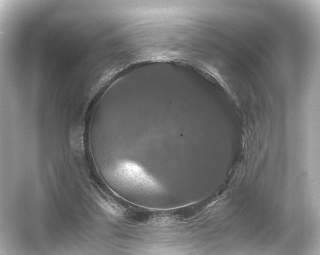 X0000066540299200603201433