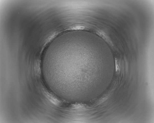 X0000066540300200603201433