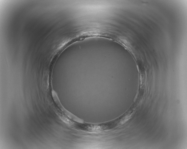 X0000066540301200603201433