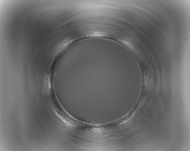 X0000066540302200603201433