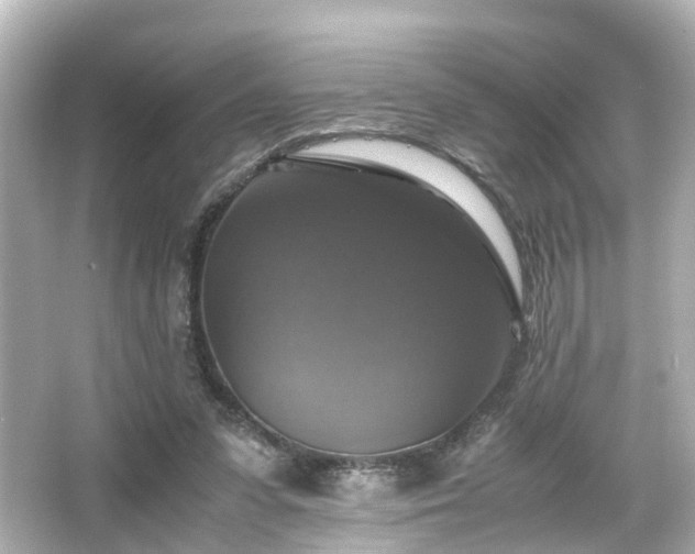 X0000066540303200603201433