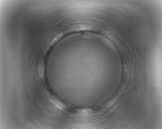 X0000066540304200603201433