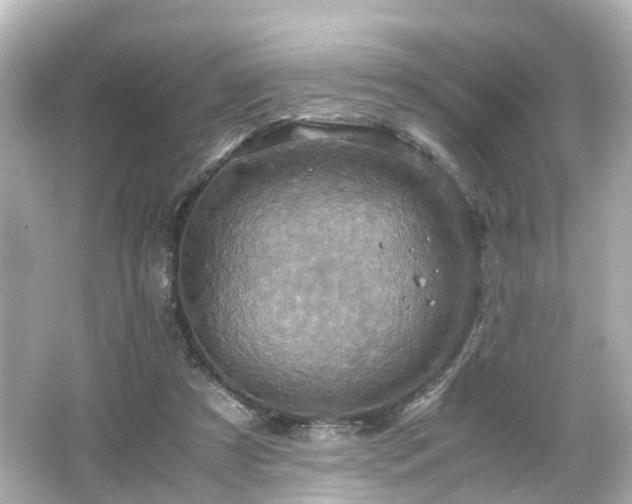 X0000066540305200603201433