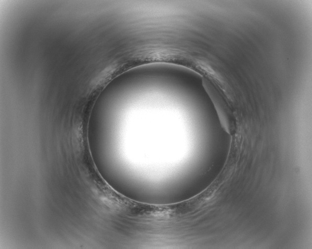 X0000066540306200603201433