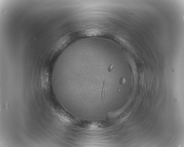 X0000066540308200603201432