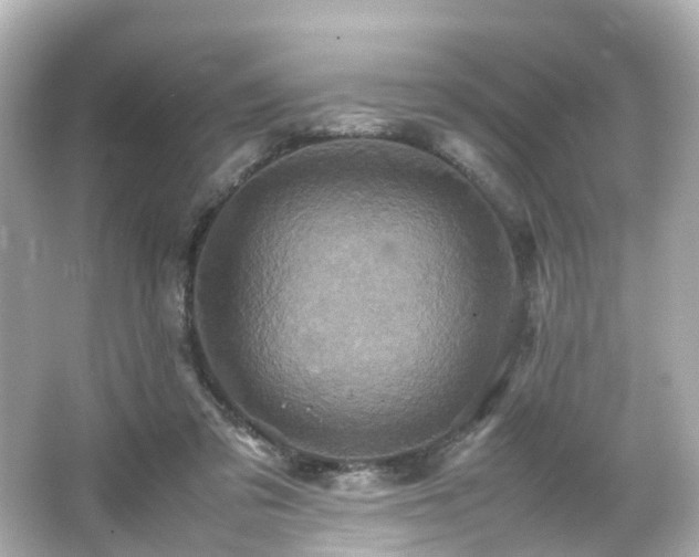 X0000066540309200603201432