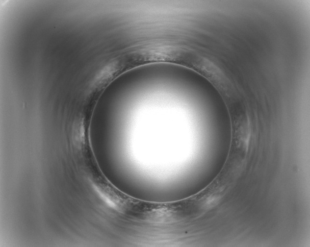 X0000066540310200603201432