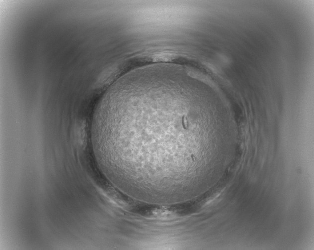 X0000066540311200603201432