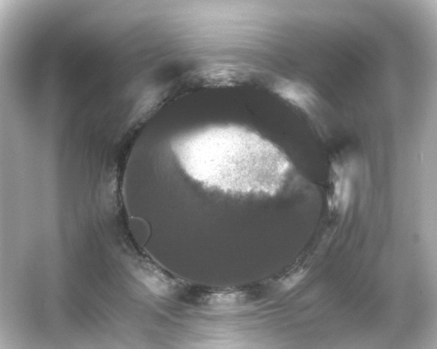 X0000066540314200603201432