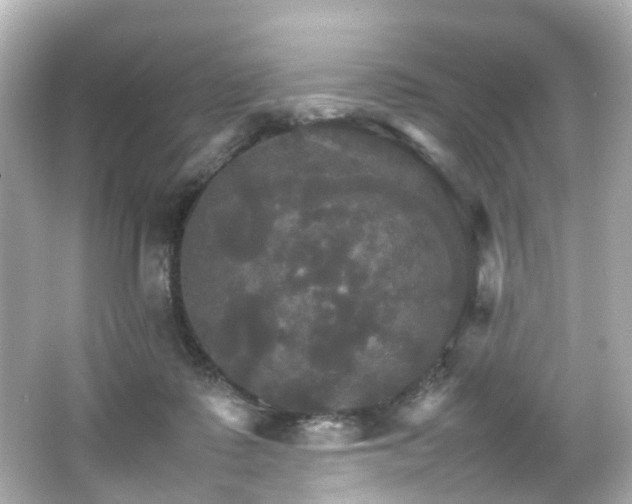 X0000066540315200603201432