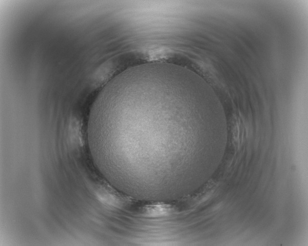 X0000066540316200603201432