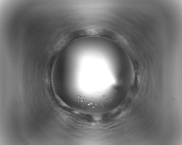 X0000066540317200603201432