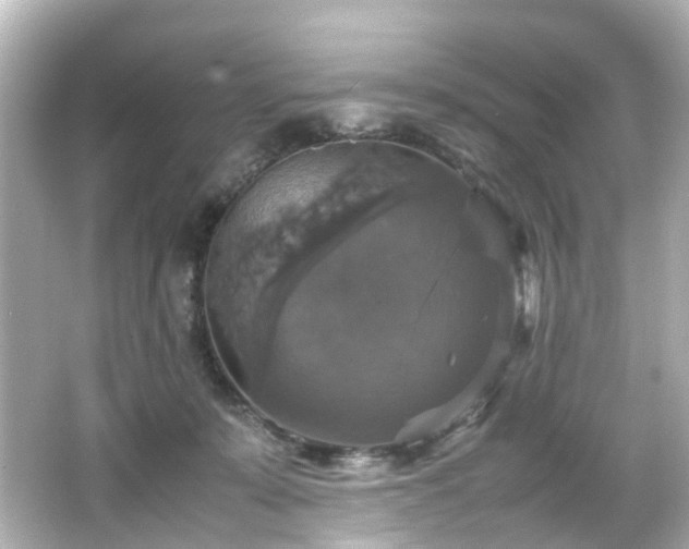 X0000066540319200603201432