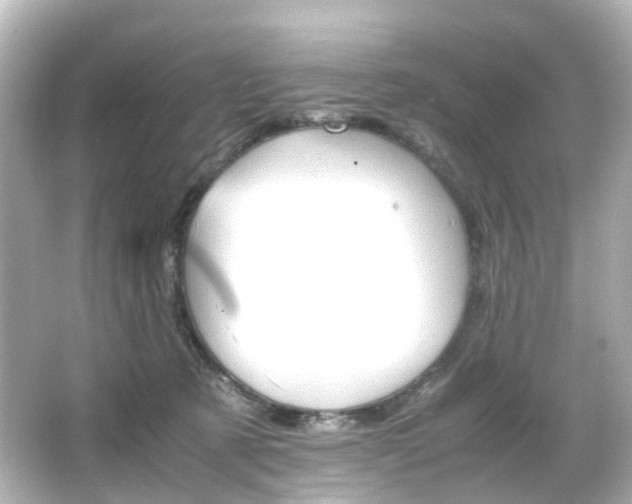 X0000066540321200603201432