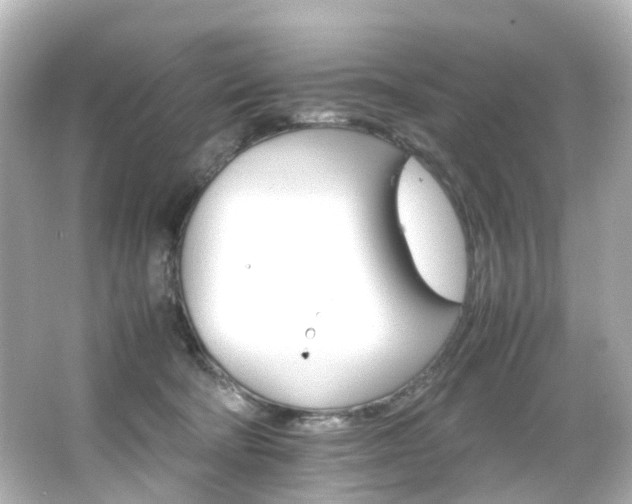 X0000066540322200603201432