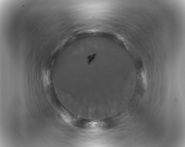 X0000066540323200603201432