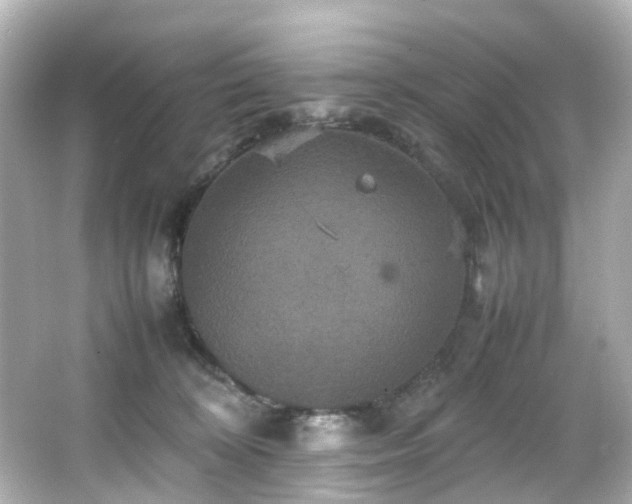 X0000066540324200603201432