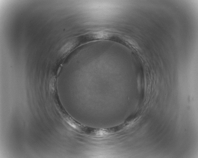 X0000066540325200603201432