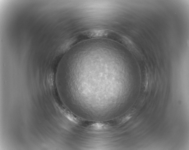 X0000066540326200603201432