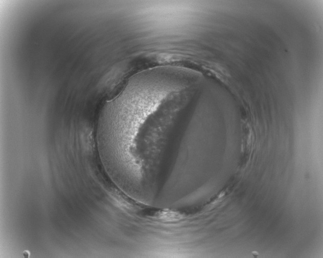 X0000066540327200603201432