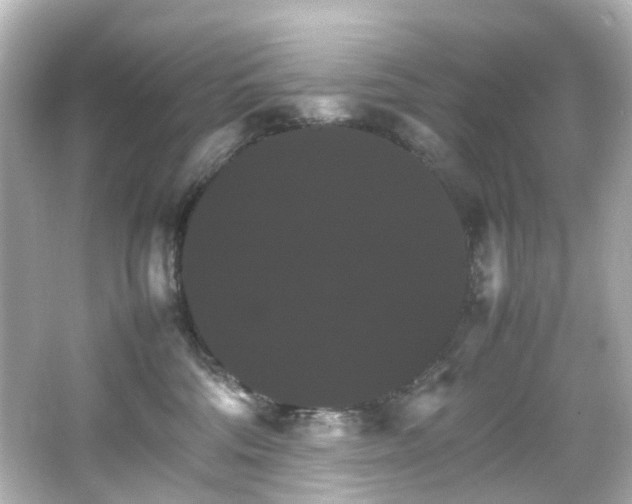 X0000066540330200603201432