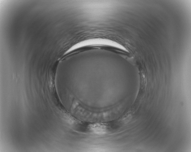 X0000066540331200603201432