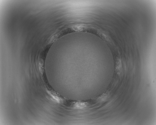 X0000066540332200603201432