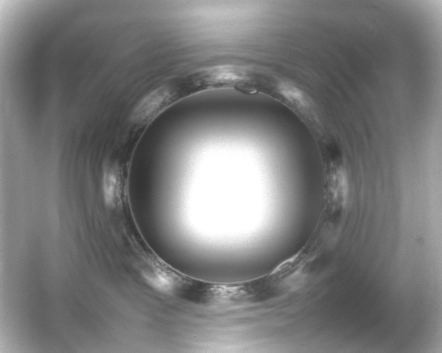 X0000066540333200603201432