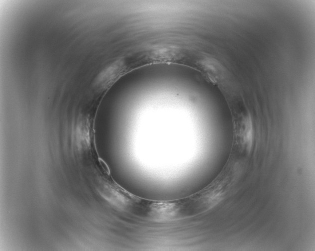 X0000066540334200603201432