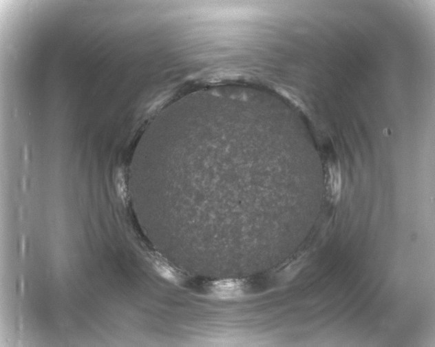 X0000066540335200603201432