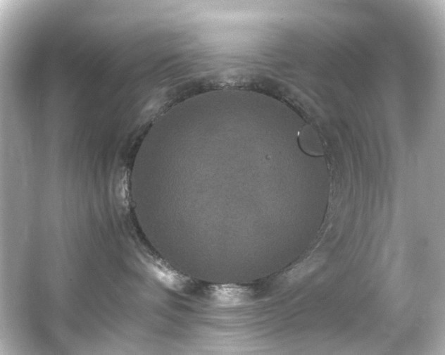 X0000066540336200603201432