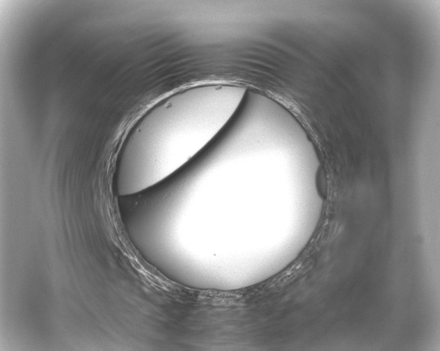 X0000066540337200603201431