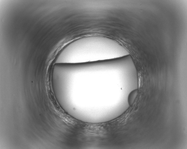 X0000066540339200603201431