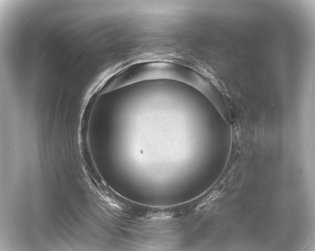 X0000066540340200603201431