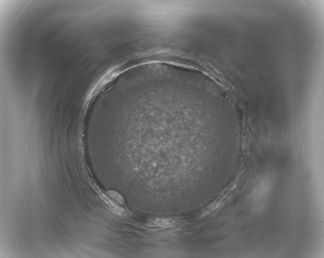 X0000066540341200603201431