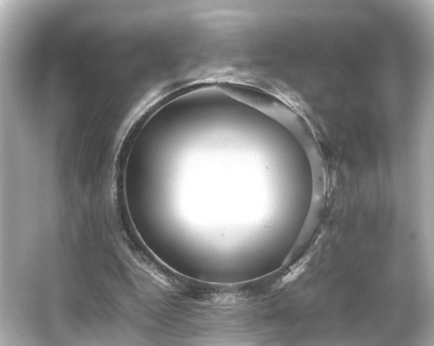 X0000066540344200603201431