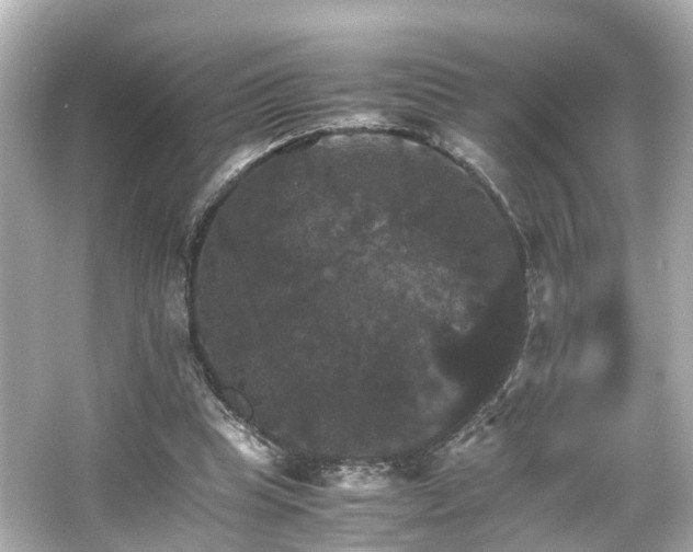 X0000066540345200603201431