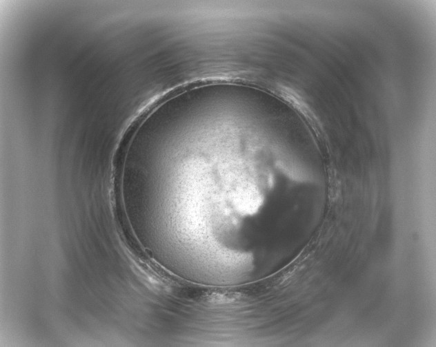 X0000066540346200603201431