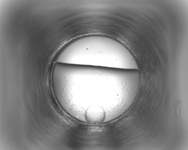 X0000066540347200603201431