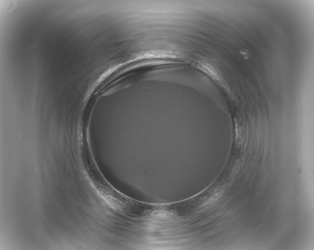 X0000066540348200603201431