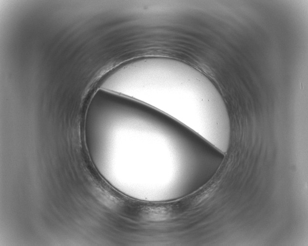 X0000066540349200603201431